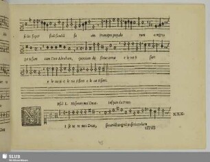 XXX. Josquin des Prez: Miserere mei Deus
