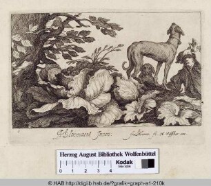 Die Jagd auf den Hasen.