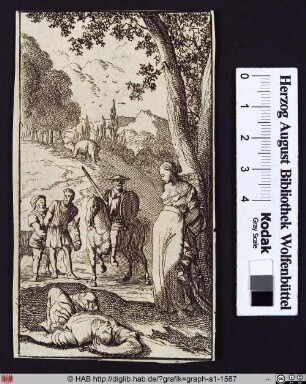 Illustration zu Don Quixote (von Cervantes)