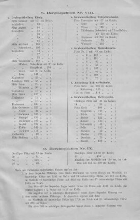 9. Berginspektion Nr. IX.