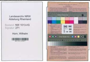 Entnazifizierung Wilhelm Horn , geb. 14.06.1899 (Seiler)