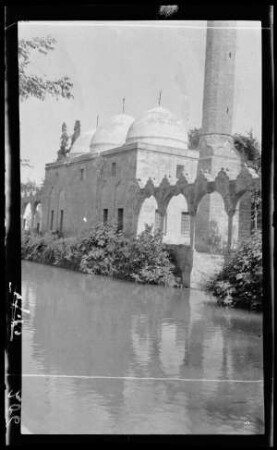 Der heilige Teich in Urfa (= ªanlıurfa, Prov. ªanlıurfa, Türkei)