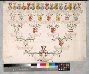 Proband: Dalwigk, Franz Ernst von; Vater: Dalwigk, Johann Georg Friedrich von; Mutter: Calenberg, Lukretia Dorothea von: Paderborn, Fbstm, Ritterschaft