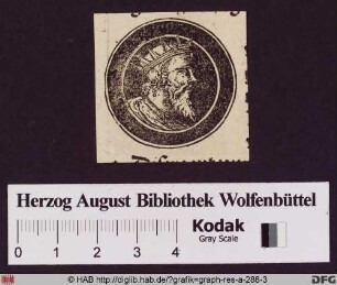 Profilportrait eine bärtigen Mannes mit Krone