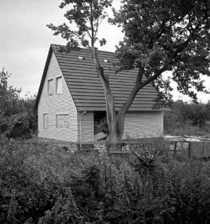 Tremsbüttel-Dorf: Wohnhaus: Neubau vor Fertigstellung: davor Baum: im Vordergrund Gesträuch