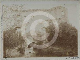Burgruine Greiffenstein