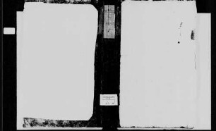 Strümpfelbrunn, katholische Gemeinde: Standesbuch 1825-1835
