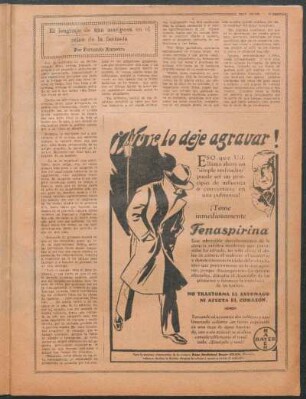 El lenguaje de una mariposa en el reino de la fantasía