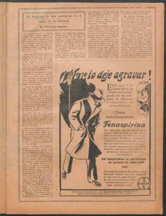 El lenguaje de una mariposa en el reino de la fantasía