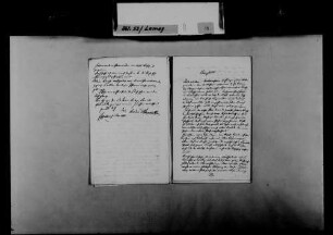 Schreiben von Georg Philipp Hilspach, Eschelbach, an August Lamey: Scheitern der Bewerbung Hilspachs um die Pfarrei Bammental.
