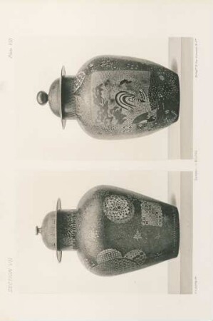 Plate VIII.