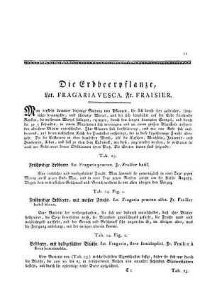 Die Erdbeerpflanze, Lat. Fragaria Vesca. Fr. Fraisier
