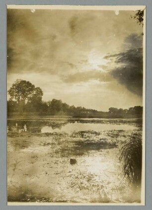 In der Lüneburger Heide bei Schnackenburg