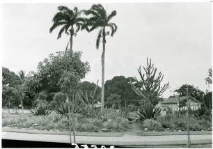 Recife, Platz mit Sertão-Vegetation