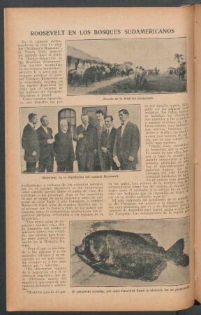 Roosevelt en los bosques sudamericanos