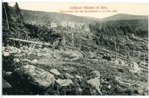 Schierke. Waldverwüstungen nach Gewittersturm