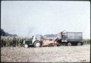 Maisernte mit dem Feldhäcksler E 066