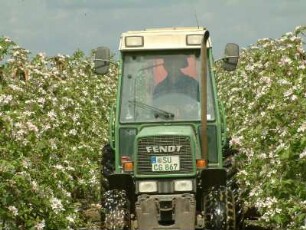Traktor