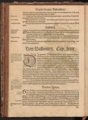 Von Wallwurtz, Cap. LXXIX