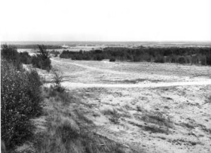 Ehemaliger Truppenübungplatz Königsbrück. Ortslage Krakau. Blick vom Bornberg (Höhe 176,3 m) nach Osten auf die Stauseeniederung