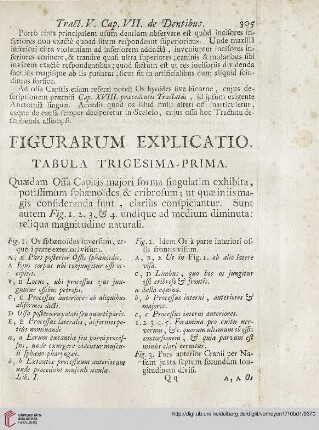 Figurarum explicatio: Tabula trigesima-prima