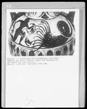Pontische Amphora aus Vulvi, Detail: Kampf des Herakles mit der Hydra