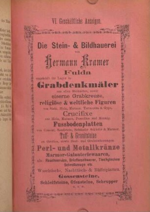 VI. Geschäftliche Anzeigen