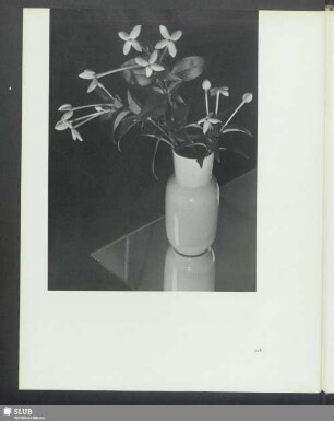 Arzberg-Vase