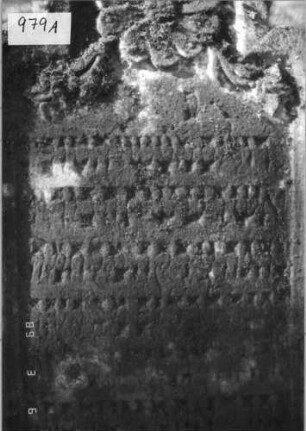 Grabstein 979 (Index: 99751381) Material: Sandstein Zustand: verwittert, Stele eingesunken Maße HxBxT: 108x64x10 cm Beschreibung: Stele, geschwungen eingezog. Rundbogenabschl. , Schriftfeld eingetieft Symbolik: Blüte, Ranken: Grabstein 979A