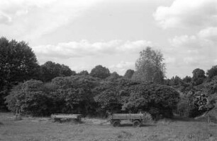 In Mühlenbeck-Feldheim : In Mühlenbeck-Feldheim, Gut Kranichhof