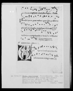 Blatt aus einem Antiphonar, Blatt c recto: Initiale V mit Himmelfahrt Mariae