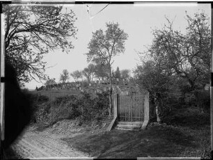 Külsheim Jüdischer Friedhof Eingangstür - Grabsteine