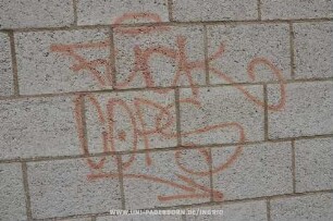 FucK COPS