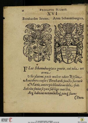 XVI. Bernhardus Sextus. Anna Schaumburgica