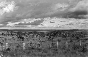 Natürliche Buschsteppe : Landschaftsaufnahme der natürlichen Buschsteppe im Bundesstaat Minas Gerais.