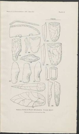 Plate 6. - Various types of flint implements. Fayum, Egypt.