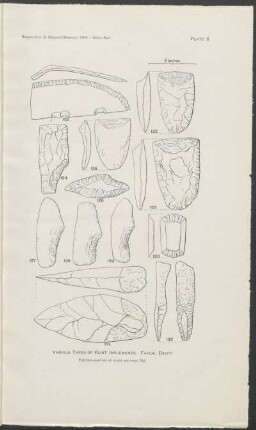 Plate 6. - Various types of flint implements. Fayum, Egypt.