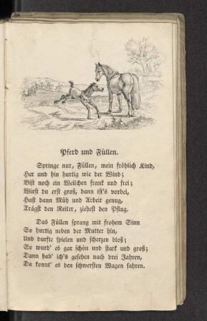 Pferd und Füllen.