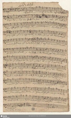 Bass[o Concerto].