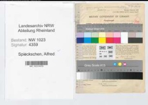 Entnazifizierung Alfred Spickschen , geb. 08.03.1893 (Kaufmann)