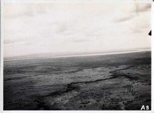 Die Llanos, hinten der Orinoco bei Boca del Pao - Flugaufnahme