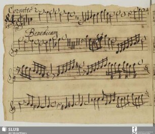 [Cesare, Giovanni Martino:] Benedicite Domino