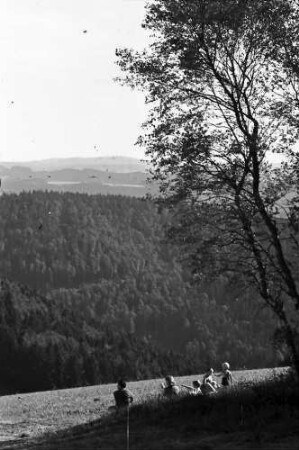 St. Märgen: Wiese mit Familie an Birkengruppe; Hintergrund Feldberg