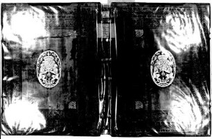 Speculum humanae salvationis, verdeutscht in Prosa - BSB Cgm 3