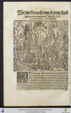 Wie die Genueser inn Künig Reinharts namen das neüw Schloß zu Neapels gewunnen haben. Das fünfft Buch.
