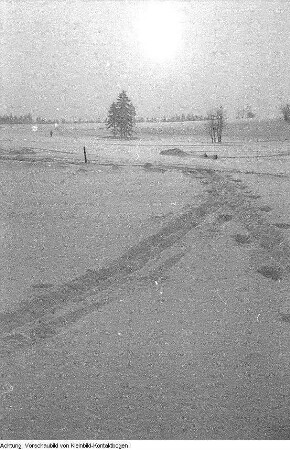 Winter, Landschaften, Max Hille beim Skilauf, beleuchteter Weihnachtsbaum, Januar-Februar 1956