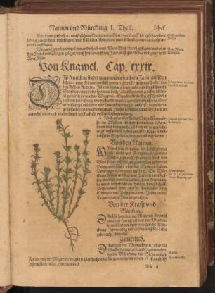 Von Knawel, Cap. CXXIX