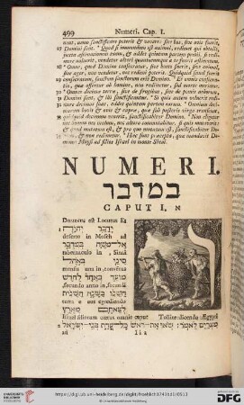 Numeri
