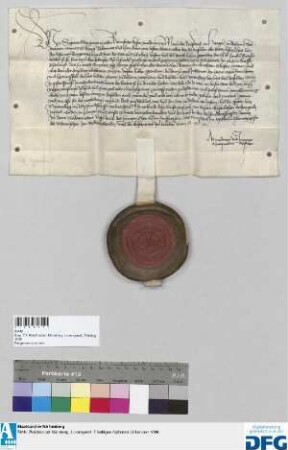 Kaiser Sigmund gestattet der Stadt Nürnberg, einen Schutzherrn über die Städte Heidingsfeld und Mainbernheim zu bestellen.