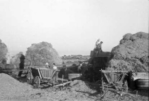 Varna: Bauern an der Dreschmaschine bei Varna